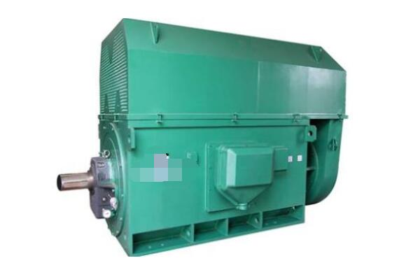 異步起動永磁同步電機標(biāo)準(zhǔn)（詳解電機行業(yè)標(biāo)準(zhǔn)化管理）