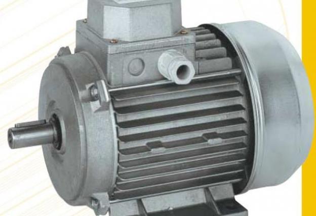 全順電機30x31x，全順電機規(guī)格參數(shù)介紹